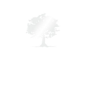Love & Light Studio