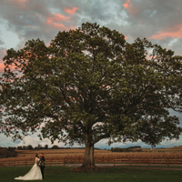 instagram feed bride and groom