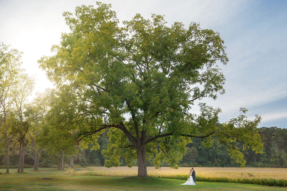 Brandywine Manor Wedding