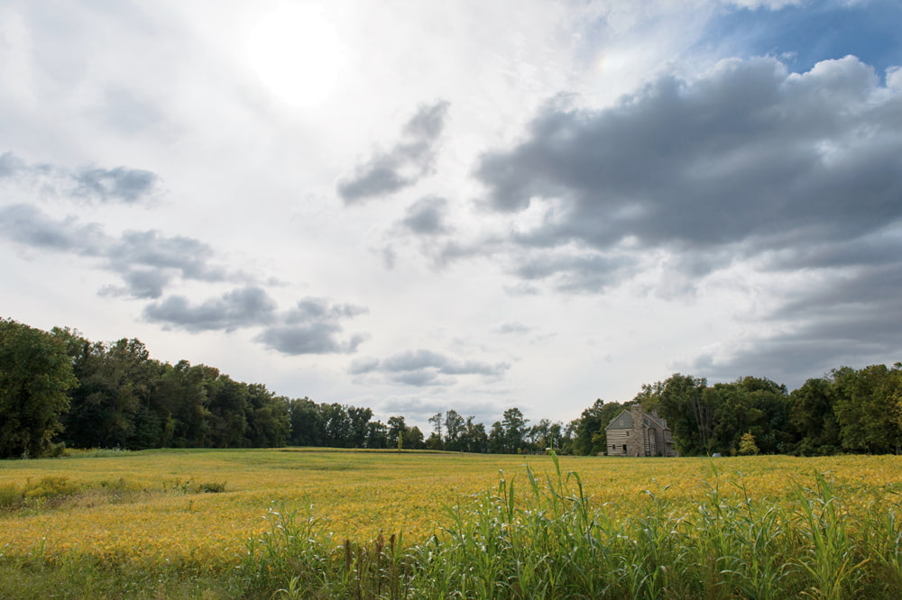 Brandywine Manor Wedding